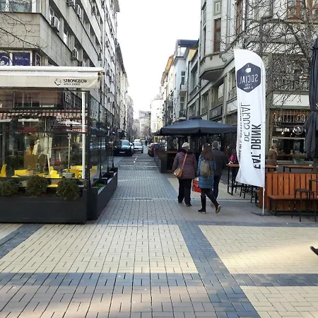 Stylish Center Flat 100m To Vitosha Blvd Daire Sofya