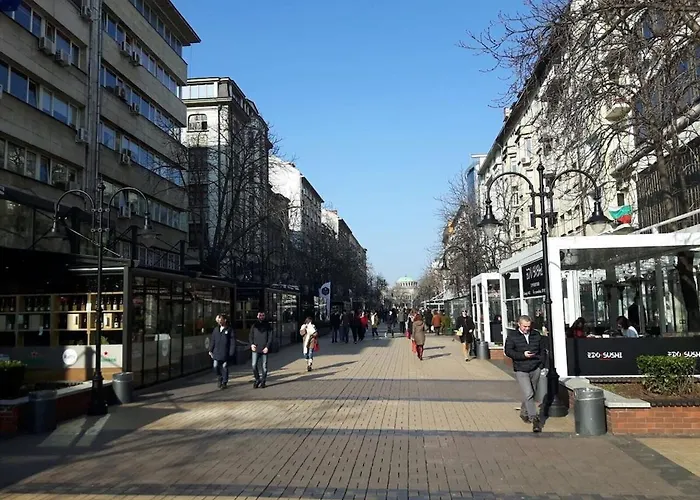 アパート Stylish Center Flat 100m To Vitosha Blvd *